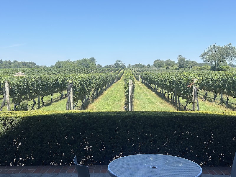 Jazz In The Vines 10th Anniversary