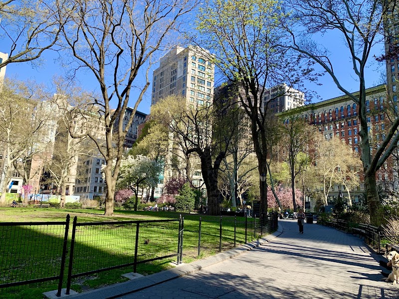 🚶☀️ Sprint Review #2: Walk or Run Summer Streets 🌳🏃
