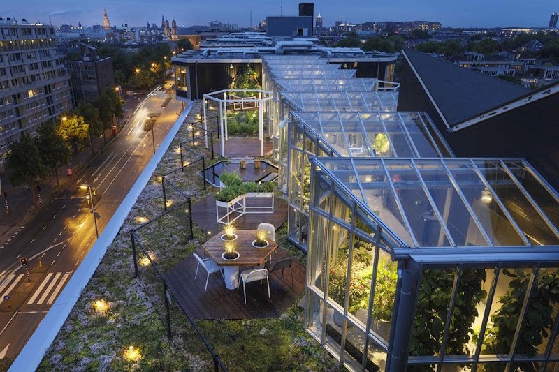 Everybody Networks Here Amsterdam: Grow & Connect #18